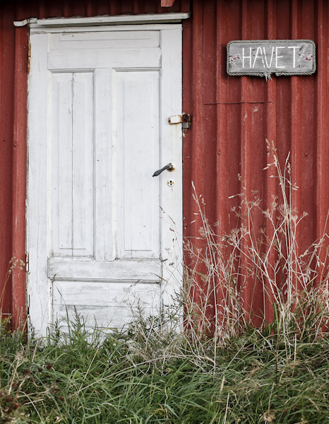 chasing norway